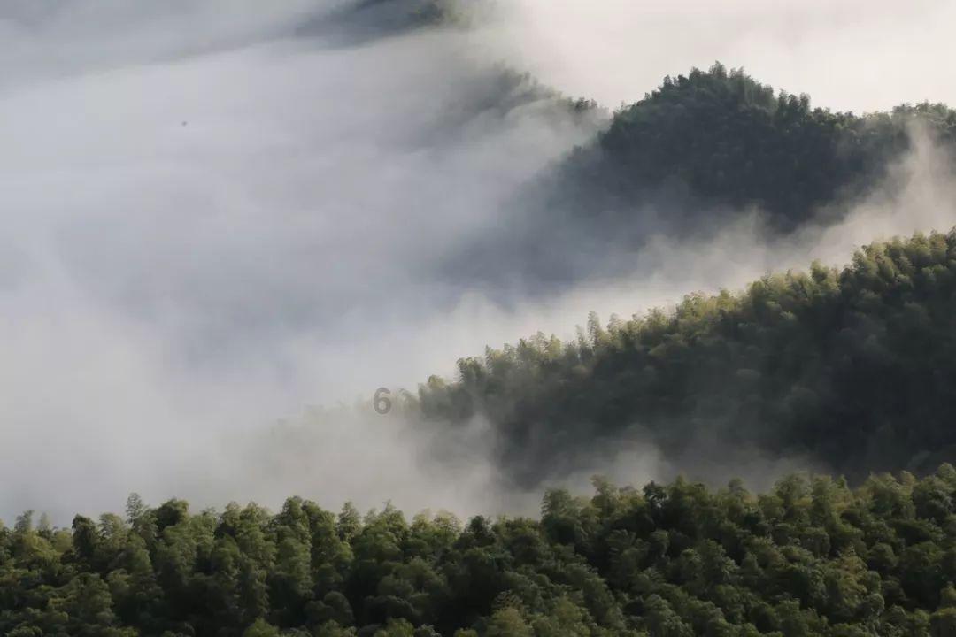 披萨找不同